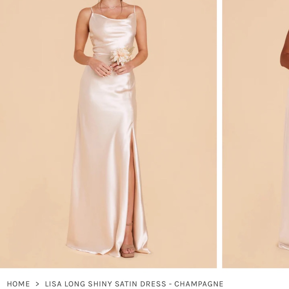 Birdy Grey Lisa Long Dress